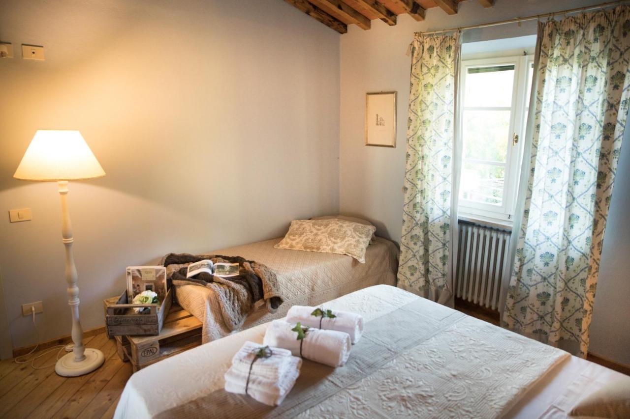 Alpaca Country House Pontedera Kültér fotó