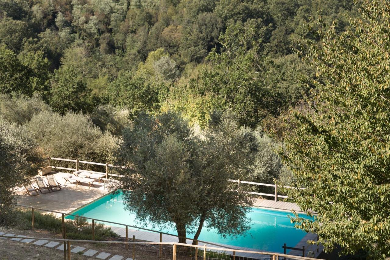 Alpaca Country House Pontedera Kültér fotó