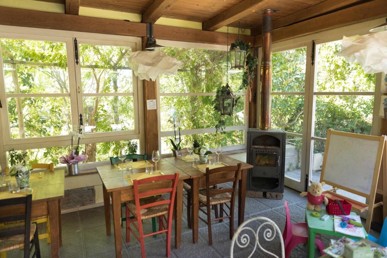 Alpaca Country House Pontedera Kültér fotó